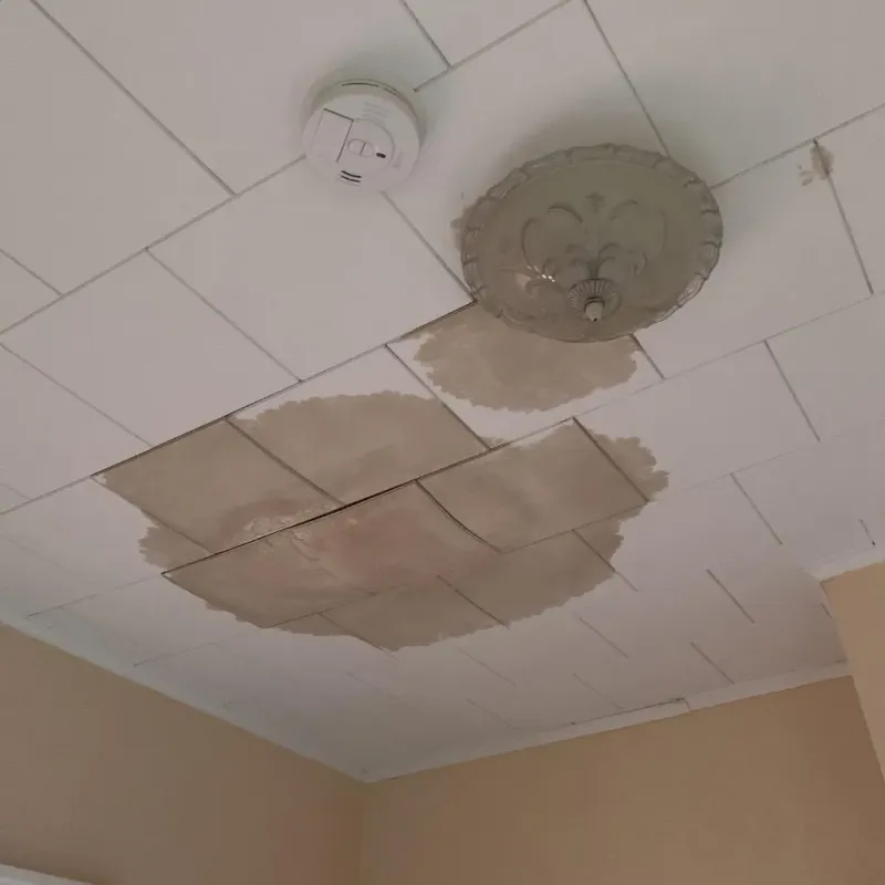 Ceiling Water Damage Repair in South Pittsburg, TN