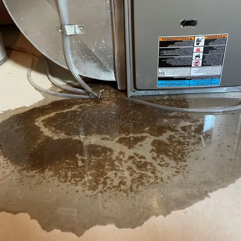 Pipe Burst and Leak Restoration in South Pittsburg, TN