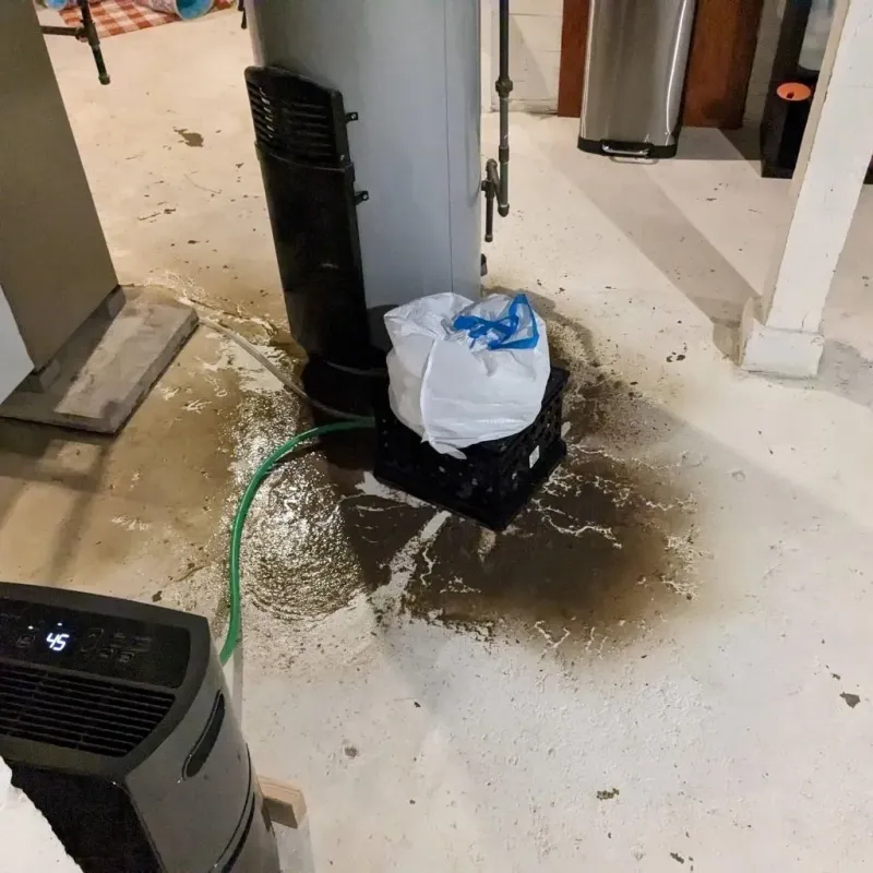 Sewage Backup Cleanup Service in South Pittsburg, TN